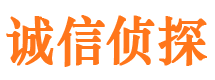 阜城市私人侦探